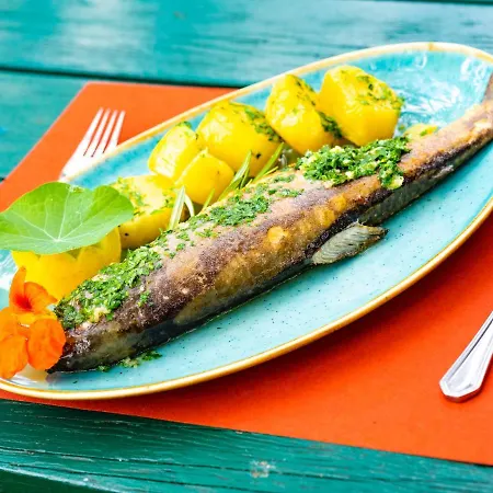 Seehof Feidig 宾馆