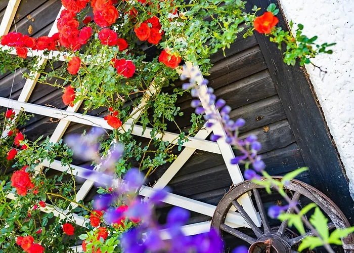 Värdshus Seehof Feidig Velden am Wörthersee