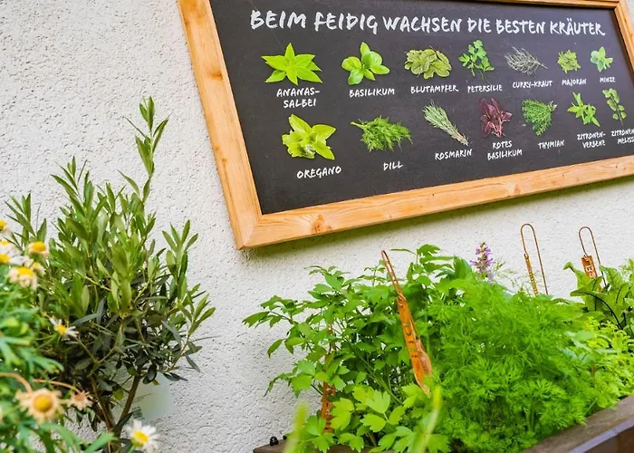 Seehof Feidig וולדן אם וורתרסי