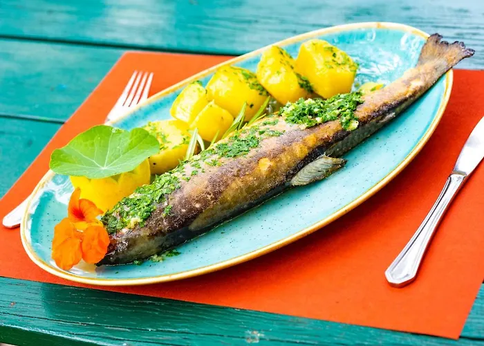 Seehof Feidig אורחן